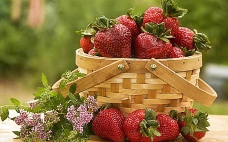 basket of strawberries - basket, flower, fruits, red