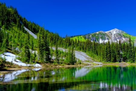 Mountain lake reflections - reflections, trees, hills, summer, beautiful, slope, crystal, mountain, nature, clear, lake, sky, rocks