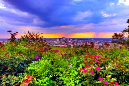 BIRMINGHAM from DISTANCE - sky, birmingham, dustant, city, flowers, plants