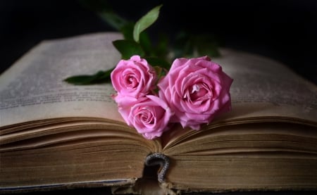 Still Life - flowers, still life, book, roses