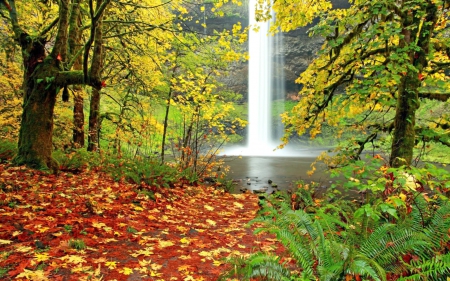 Autumn Waterfall - autumn, fall, trees, water, leaves, waterfall