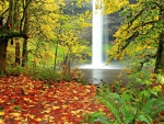 Autumn Waterfall