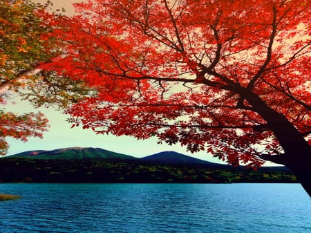 LAKE in AUTUMN - mounbtains, lake, nature, autumn