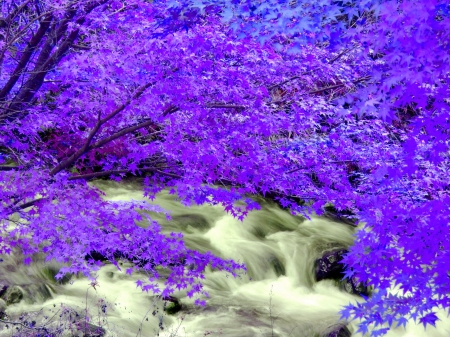 FAIRYLAND STREAM - purple, forest, flow, branch, stream, leaves