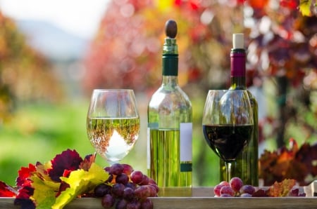 Wine - fall, bokeh, wine, glasses, autumn, autumn splendor, fruits, bottles