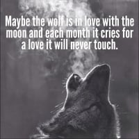 wolf wisdom