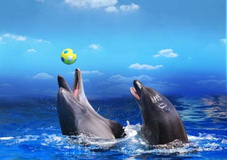 Playing  dolphin's - dolphins, sea, plasy, blue