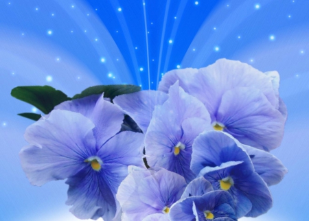 Blue ╰⊰✿ - flowers, pic, blue, wallpaper