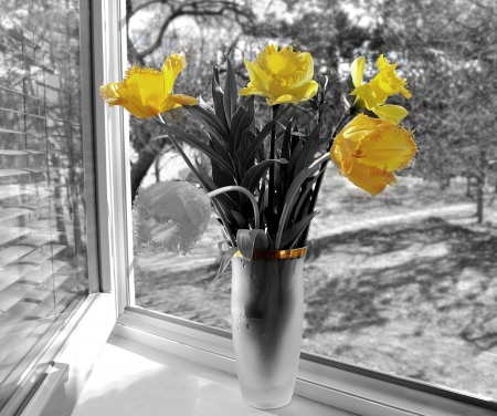 Open window - yellow, open, window, tulips, vase