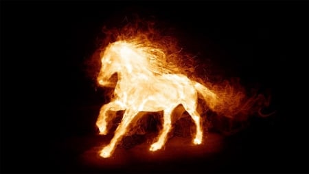 Fire Horse - fire horse, white, fire, red, horse