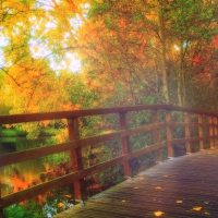 -PARK BRIDGE IN FALL-