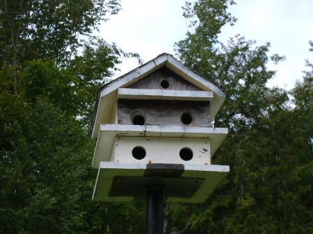 Birds appartment - white, outside, house, trees