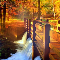 -AUTUMN BRIDGE-