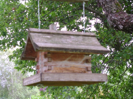 Bird bachelor house - house, small, trees, brown