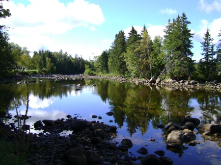 Energy - river, trees, water, blue, daytime, sky, outside