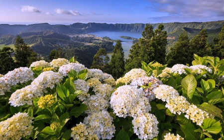 Overlooking a Valley - white, lake, flowers, trees, sea, nature, mountain