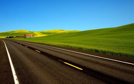 Road Along the Green Field - road along the green field, fields, road, photography