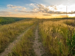 Pastoral Road