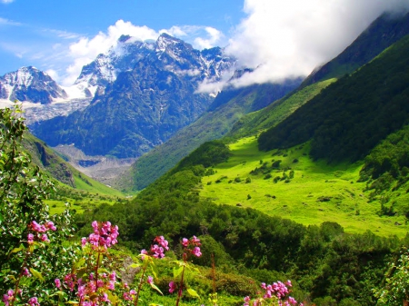 Mountain view - hills, summer, beautiful, snowy, grass, lovely, valley, mountain, flowers, nature, view, oeak, rocks