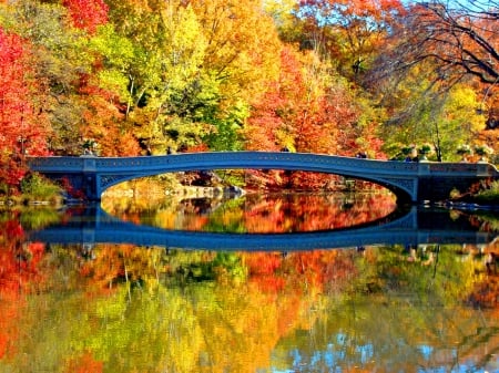 Bow bridge - calm, trees, beautiful, tranquil, colors, forest, reflection, fall, mirror, serenity, bow, autunm, foliage, rive, bridge, r lake