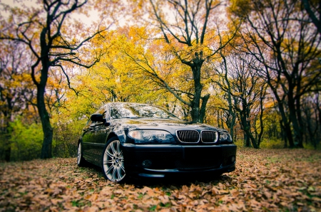 E46 M-tech2 - e46, black, forest, bmw