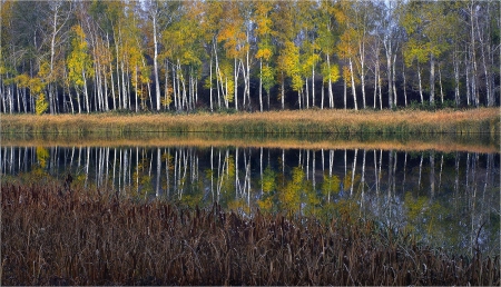 Autumn - nature, autumn, trees, river