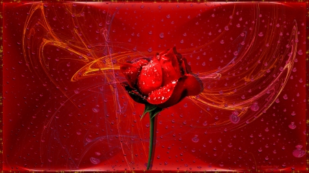 romance and passion - flowers, heart, red rose, romance, thought, emotions, art