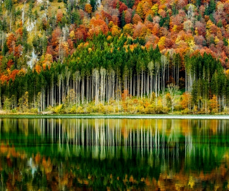 Autumn Forest - forest, mountains, germany, beautiful, lake, reflection, colored, tree, trees, colors, autumn