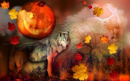 Autumn Night - moon, viola tricolor, pumpkin, light, night, darkness, wolf, halloween, fall, forest, leaves, owl