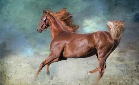 Brown Horse - hands, jewelry, brown, gallop, make up, horse, the animal