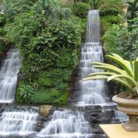 Backyard Waterfalls