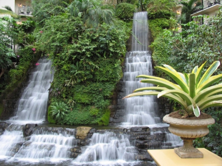 Backyard Waterfalls - nature, water, waterfalls, trees