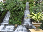 Backyard Waterfalls