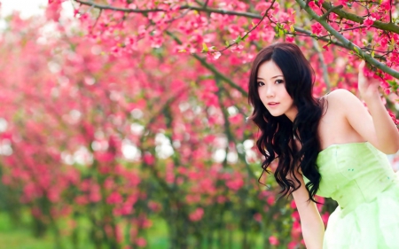 Asian Girl and Pink Flowering Tree - flowering tree, trees, photography, asian girl, pink