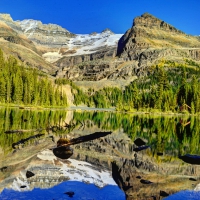 Yoho National Park