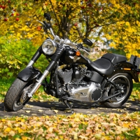 Harley Davidson