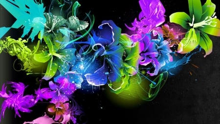 Colorful Floral Abstract - colorful, flowers, black, 3d and cg