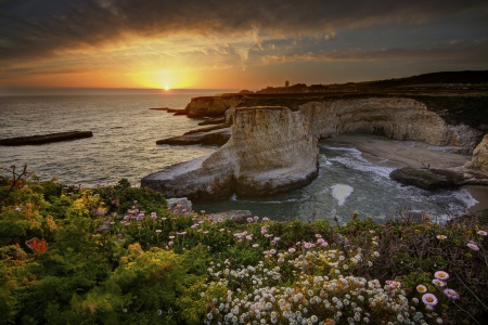 Sunset - ocean - ocean, flowers, sunset, rocks