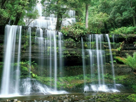 Forest Falls - nature, forest, trees, sun, waterfalls