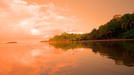 Sunset - sunset, water, cloud, island, lake, ocean, tree