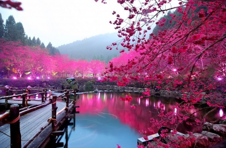 Lake - beautiful, lake, japan, trees