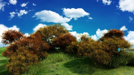 Beautiful Blue Sky - sky, trees, nature, blue