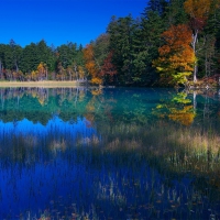 Multicolor Lake