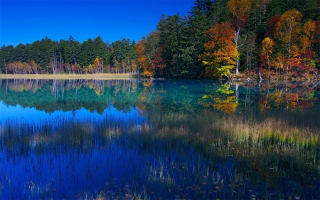 Multicolor Lake - nature, lake, autumn, trees, reflection