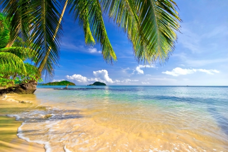 Tropical beach - beach, paradise, vacation, clouds, relax, sands, ocean, palms, summer, tropical, shore, lovely, waves, exotic, beautiful, rest, sea