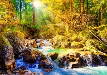 Forest stream in autumn - rays, flow, stream, rocks, creek, nature, glow, forest, river, beautifuul, stones, lvoely