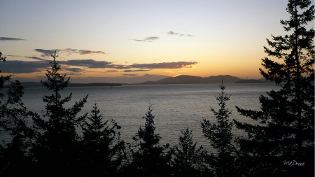 Sundown Serentiy - sky, trees, sundown, photography, sunset, bay, clouds, twilight, sound