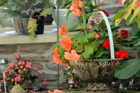 Scenic floral basket - flower basket, beautiful flowers, pretty flowers, scenic floral basket, colorful flowers