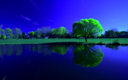 Reflection Lake - sky, lake, trees, water, nature, reflection, blue, green, architecture, house