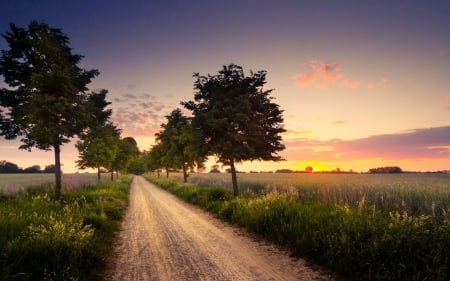 Country Road - nature, country road, fields, dirt road, trees